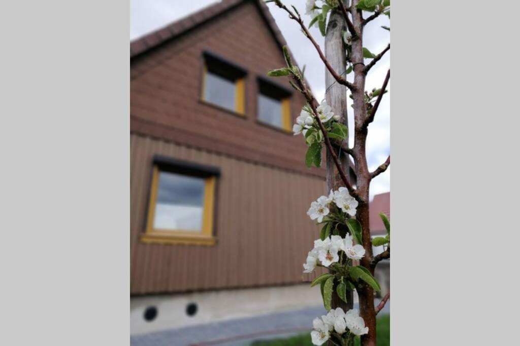 Harzhaus Ida Villa Elbingerode  Exteriör bild