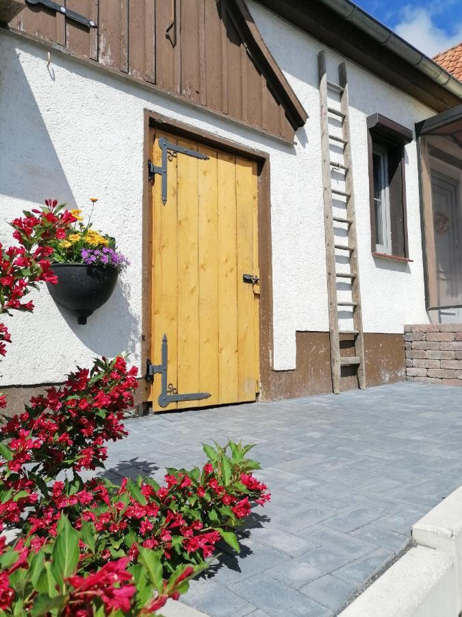 Harzhaus Ida Villa Elbingerode  Exteriör bild